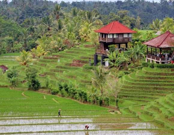 Bali Indonesia