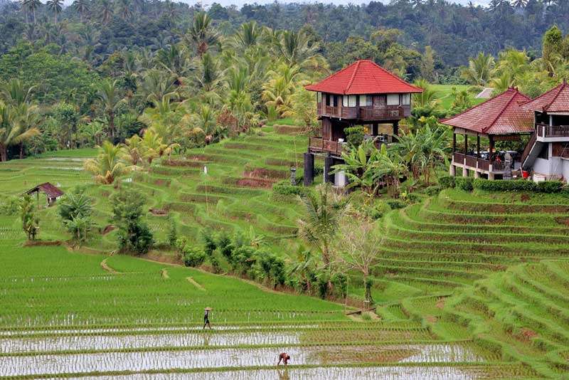 Bali Indonesia